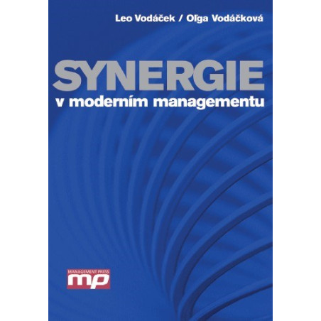 Synergie v moderním managementu