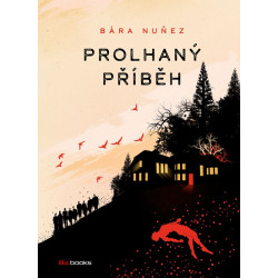 Prolhaný příběh