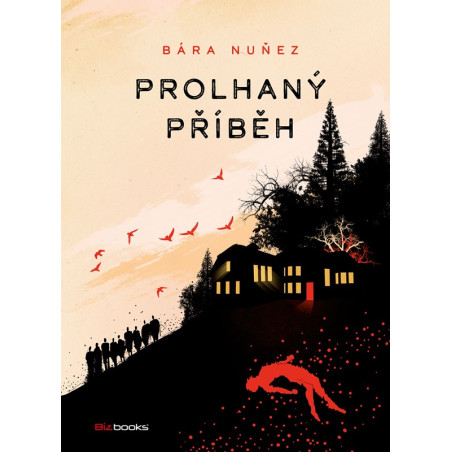 Prolhaný příběh