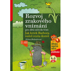 Rozvoj zrakového vnímání