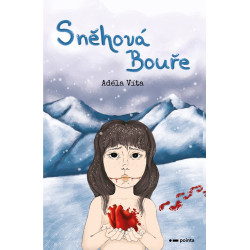 Sněhová bouře