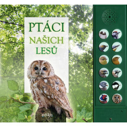 Ptáci našich lesů