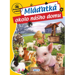 Zvieratká z blízka: Mláďatká okolo nášho domu