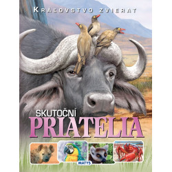 Kráľovstvo zvierat: Skutoční priatelia