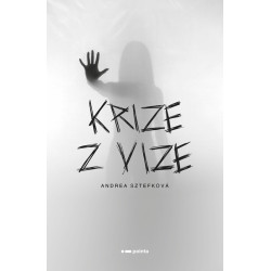 Krize z vize