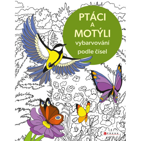 Vybarvování podle čísel: Ptáci a motýli