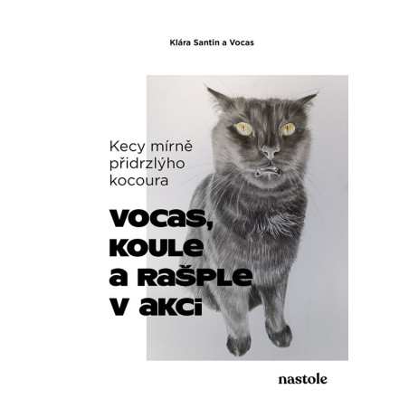Kecy mírně přidrzlýho kocoura