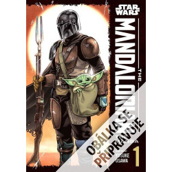 Star Wars: Mandalorian 1