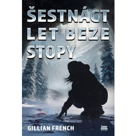 Šestnáct let beze stopy