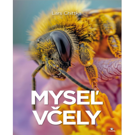 Myseľ včely