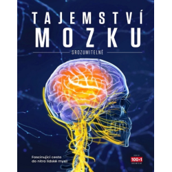 Tajemství mozku srozumitelně