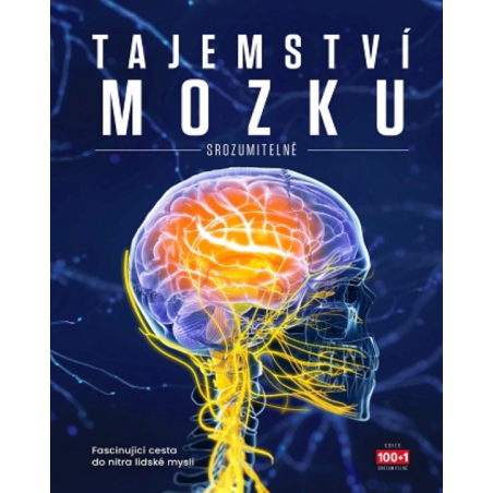 Tajemství mozku srozumitelně
