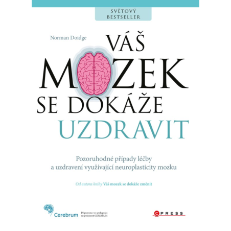 Váš mozek se dokáže uzdravit