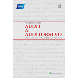 Audit a audítorstvo