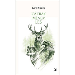 Zázrak jménem les