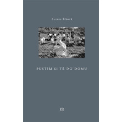 Pustím si tě do domu