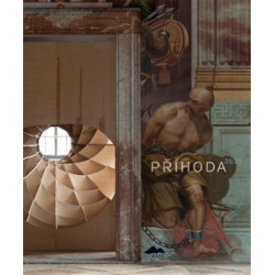 Příhoda 25