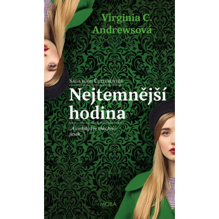 Nejtemnější hodina (Svítání 5.díl)
