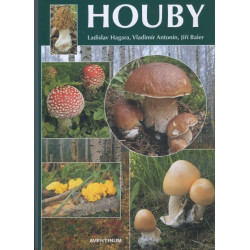 Houby