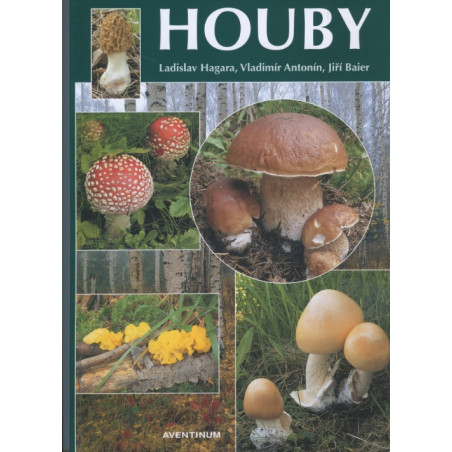 Houby