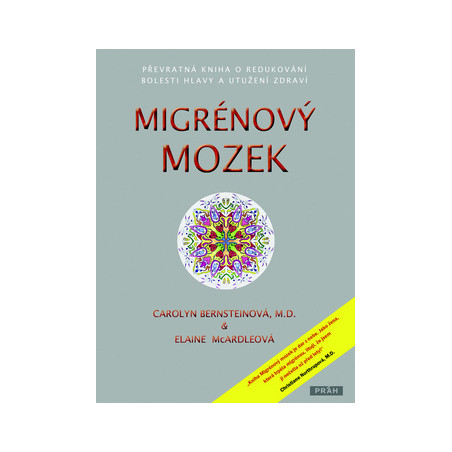 Migrénový mozek