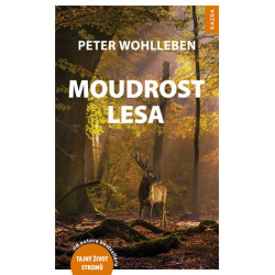 Moudrost lesa