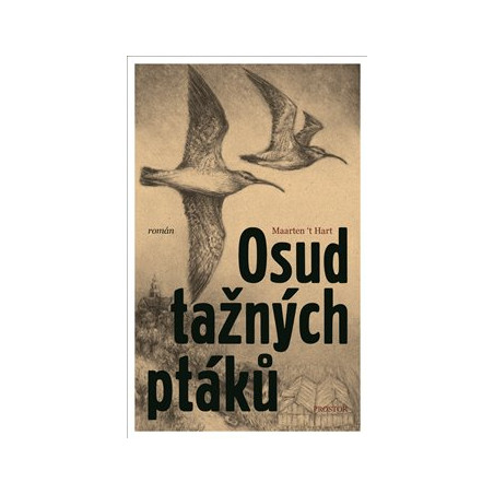 Osud tažných ptáků