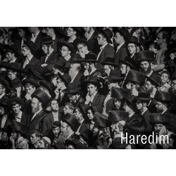 Haredim