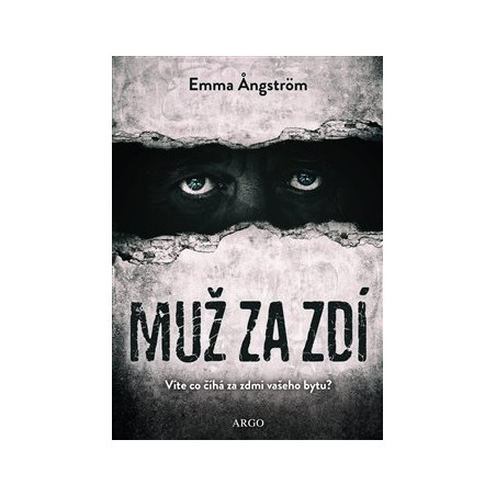 Muž za zdí