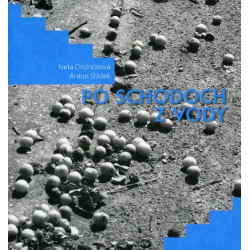 Po schodoch z vody