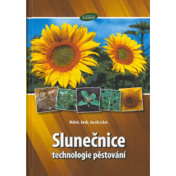 Slunečnice