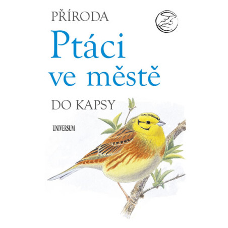 Ptáci ve městě