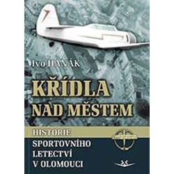Křídla nad městem - Historie sportovního