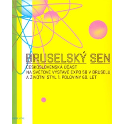 Bruselský sen