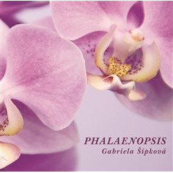 Phalaenopsis