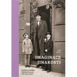 Imaginace jinakosti