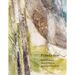 Priveľa slov