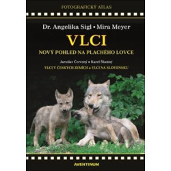 Vlci