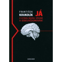 Já. O vztahu mozku, vědomí a sebeuvědomování