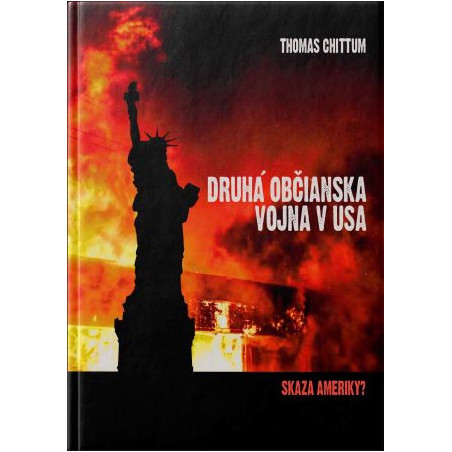 DRUHÁ OBČIANSKA VOJNA V USA. Skaza Ameriky?