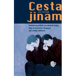 Cesta jinam