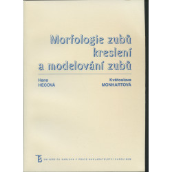 Morfologie zubů, kreslení a modelování zubů