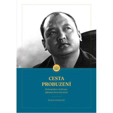 Cesta probuzení