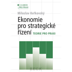 Ekonomie pro strategické řízení