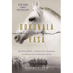 Dokonalá rasa