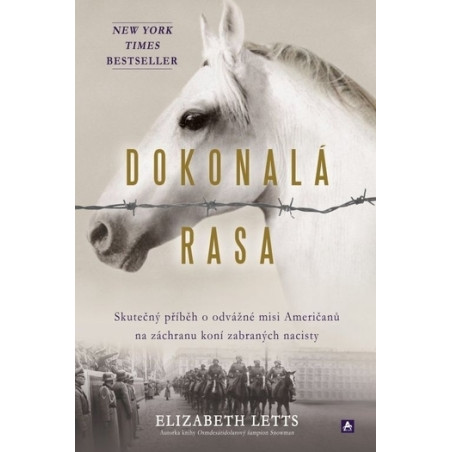 Dokonalá rasa