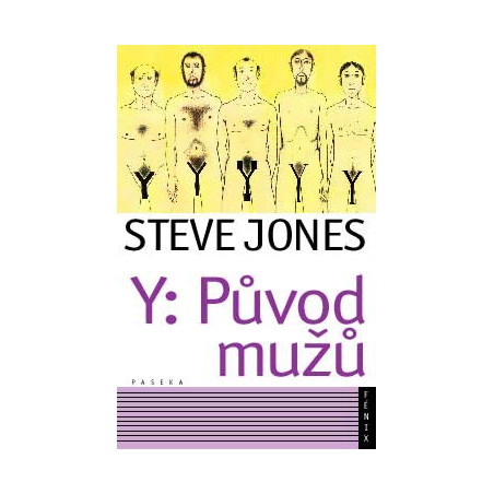 Y: Původ mužů