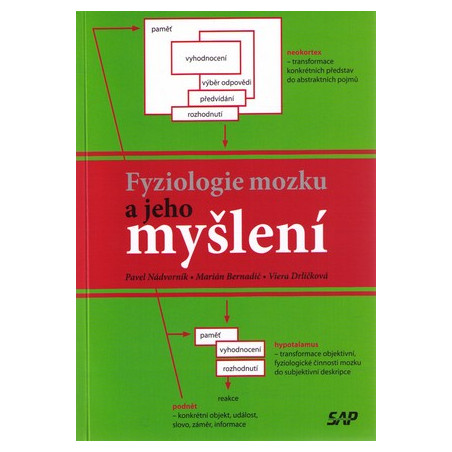 Fyziologie mozku a jeho myšlení