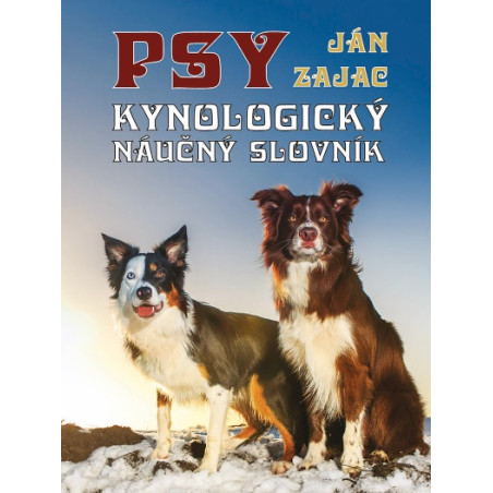 Psy