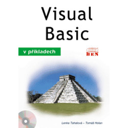 Visual Basic v příkladech